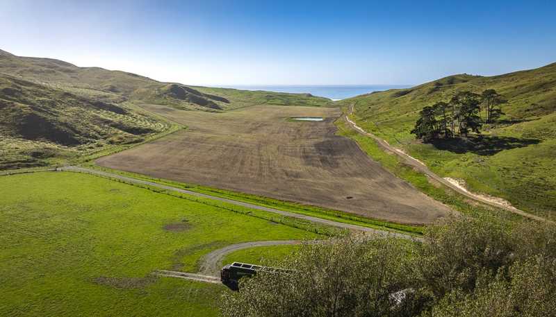  Paoanui, Pourerere