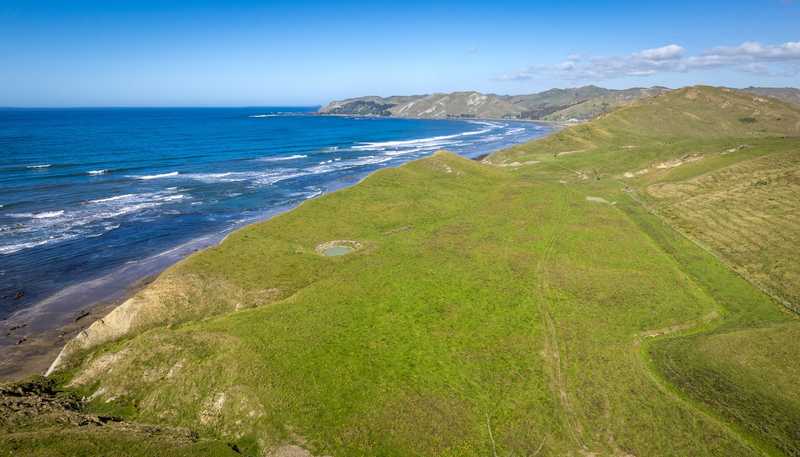  Paoanui, Pourerere