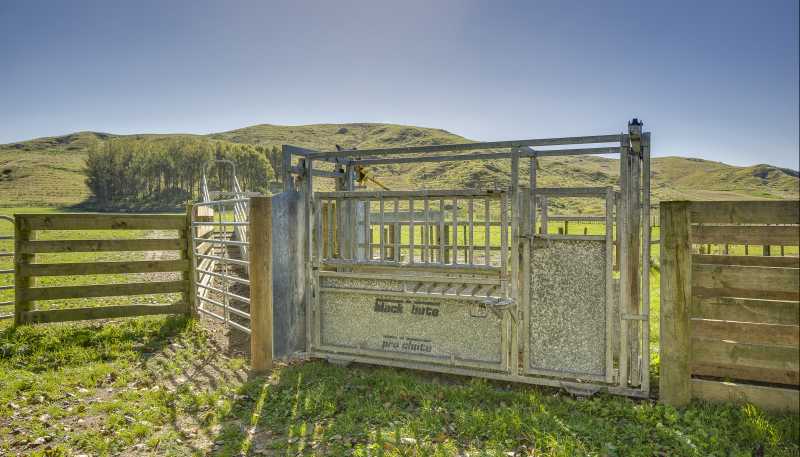  Paoanui, Pourerere