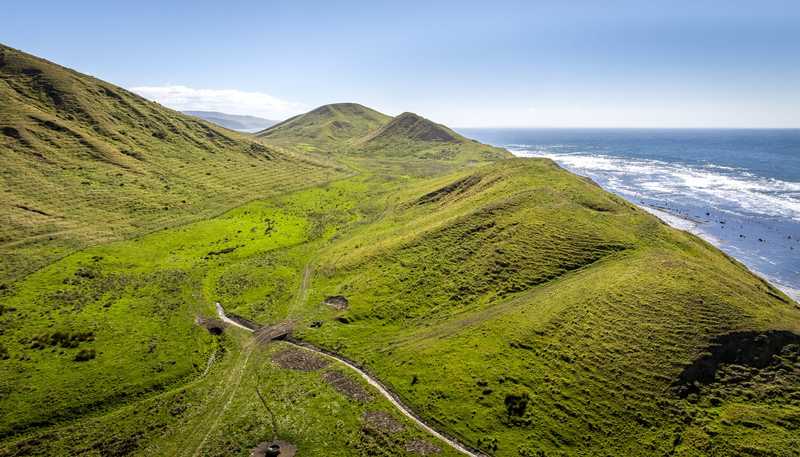  Paoanui, Pourerere