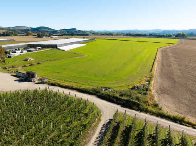 Lot 4, Judd Road, Patutahi