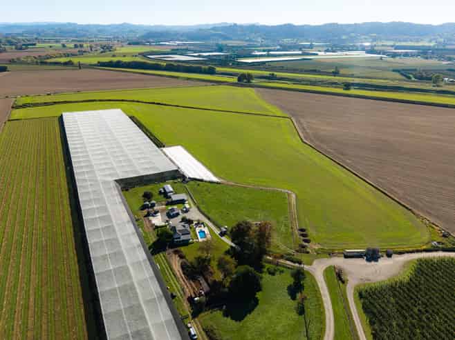 Lot 4, Judd Road, Patutahi