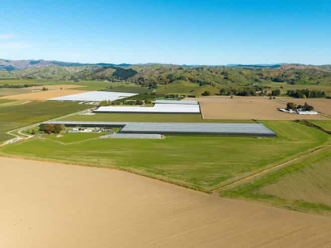 Lot 4, Judd Road, Patutahi