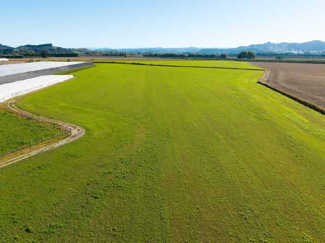 Lot 4, Judd Road, Patutahi