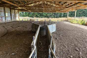 486 Steffan Road, St Patricks