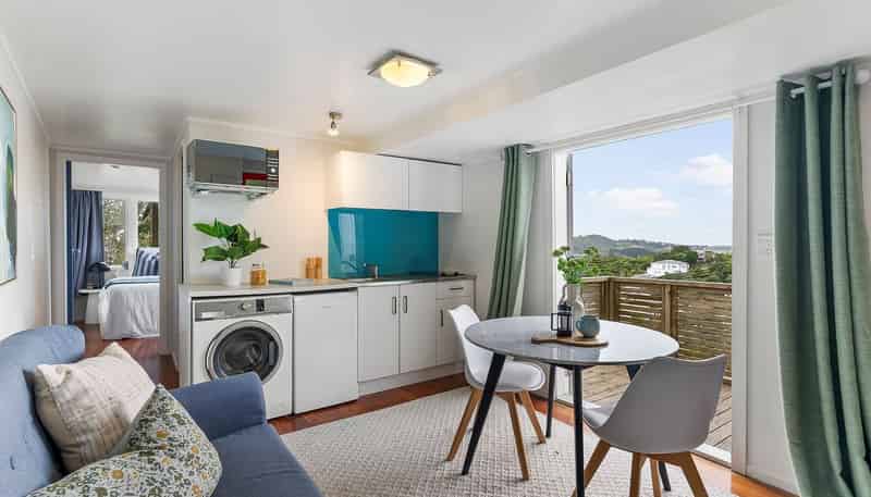 20A Pearce Street, Vogeltown