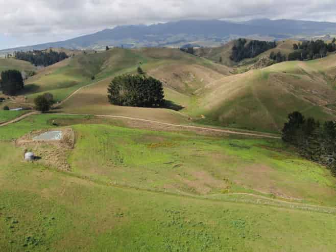 1026 Limeworks Loop Road, Karamu