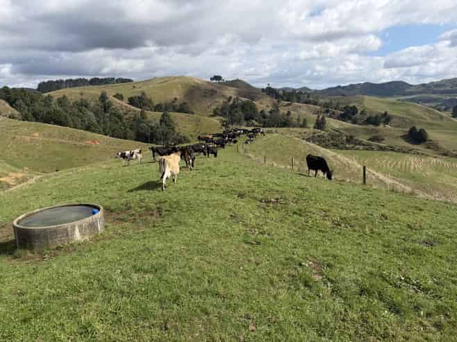 1026 Limeworks Loop Road, Karamu