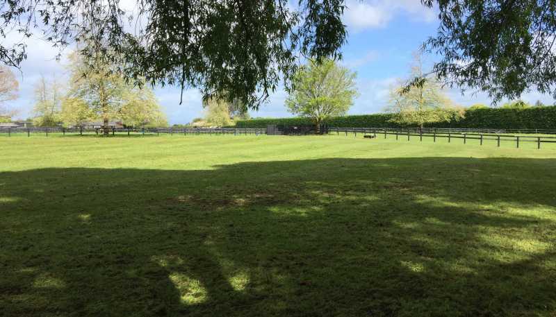 598 Marychurch Road, Matangi