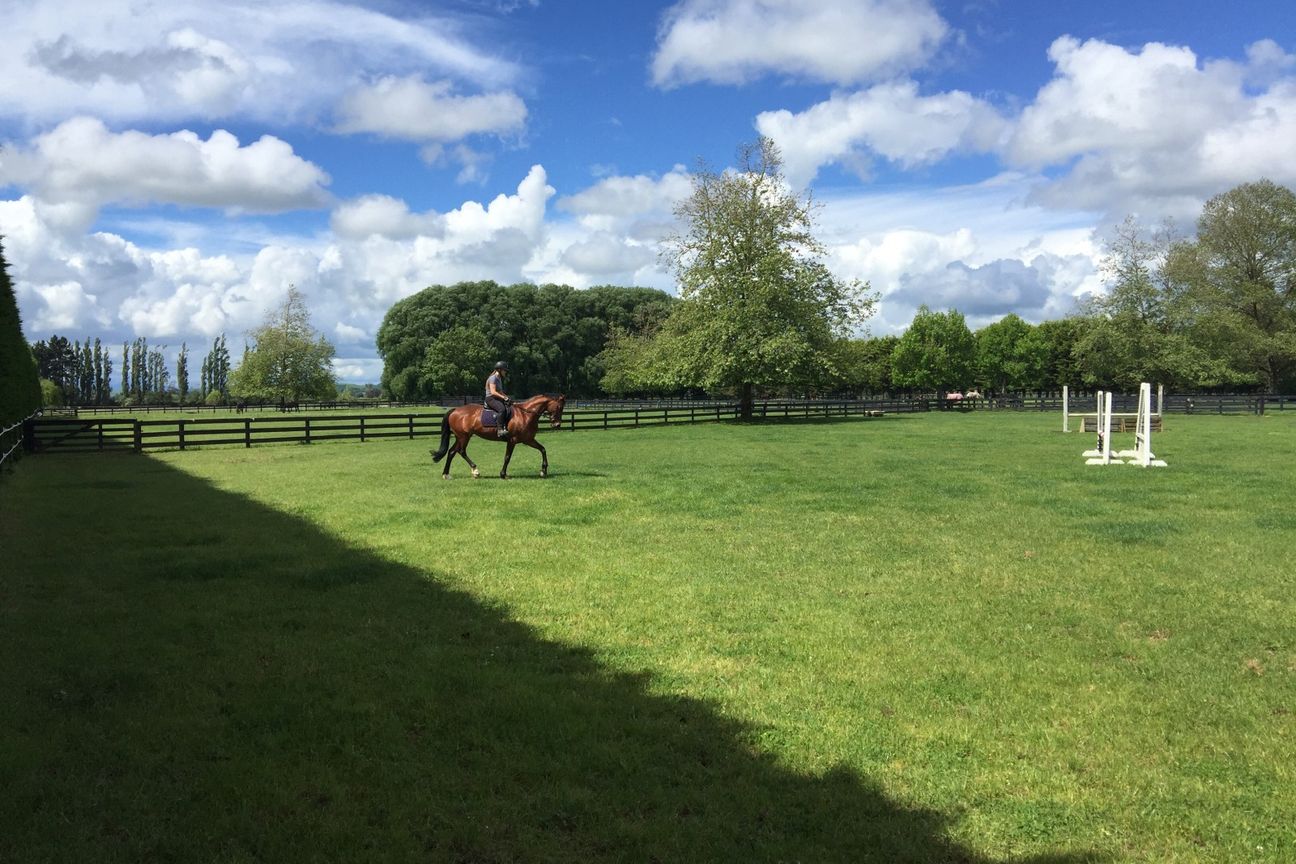 Premium Location, Elite Soils & Equine Facilities - Поглед 5