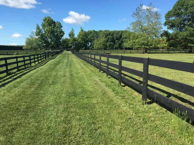 598 Marychurch Road, Matangi