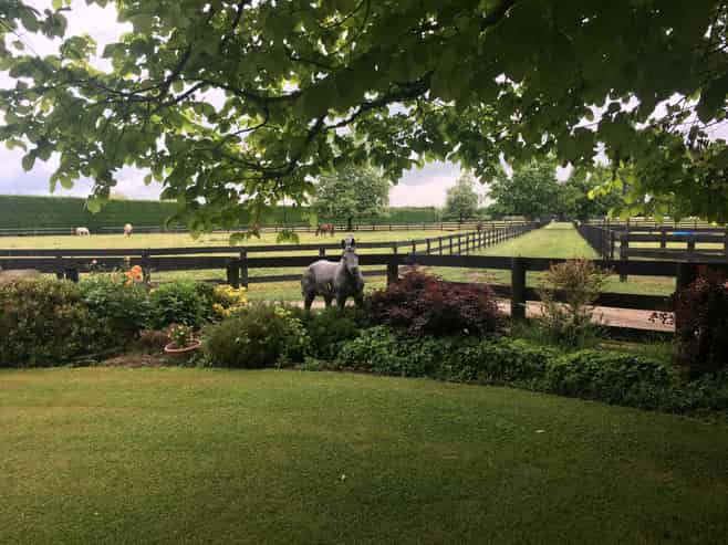 598 Marychurch Road, Matangi