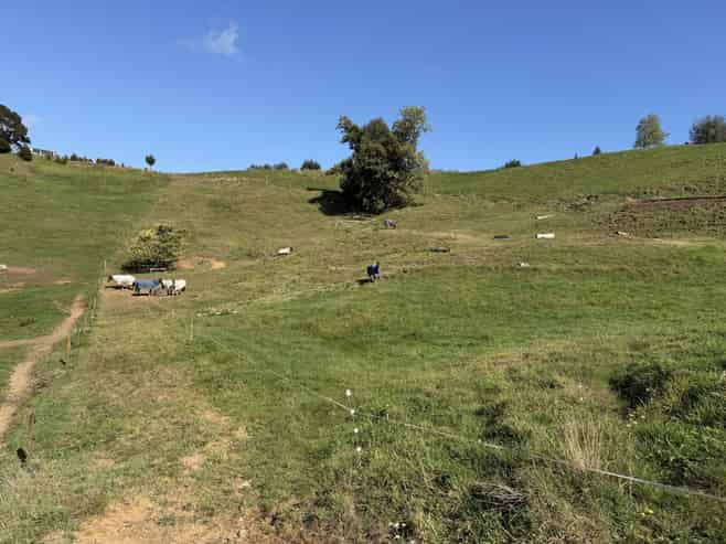 284 Owaikura Road, Otorohanga