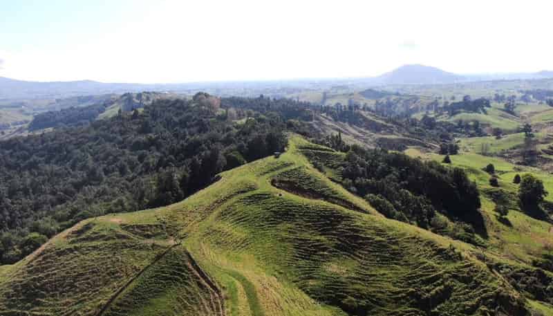 284 Owaikura Road, Otorohanga