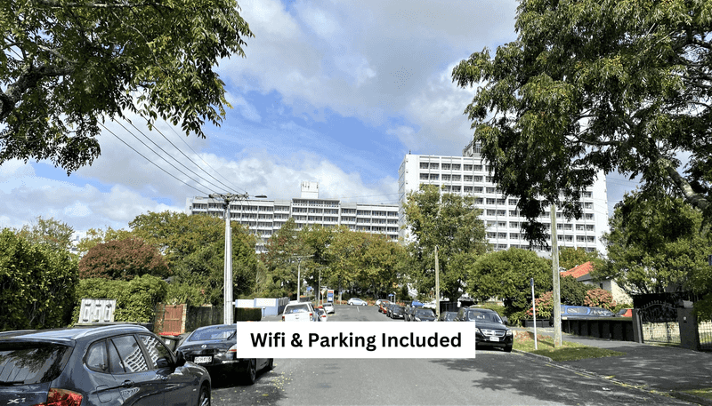 11D Horne Street, Hamilton Central