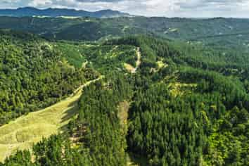  Pokapu Road, Moerewa