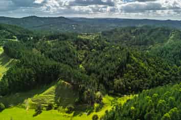  Pokapu Road, Moerewa
