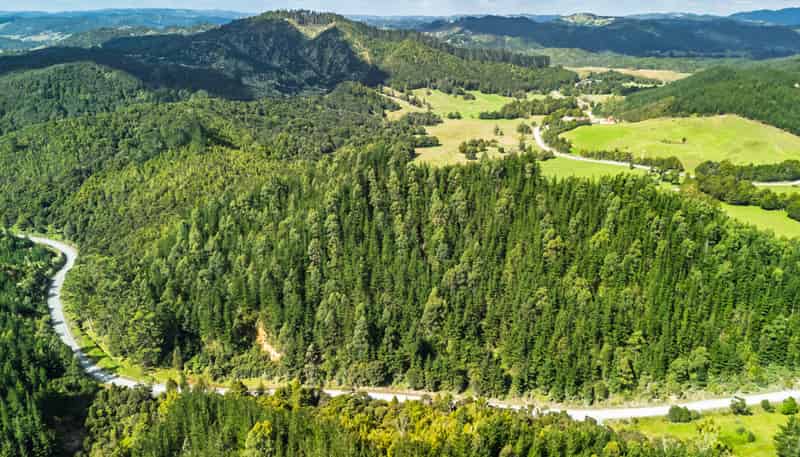  Pokapu Road, Moerewa