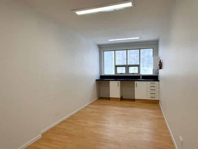 Natural light filled office space