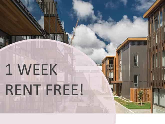 209/41 Hopper Street, Te Aro