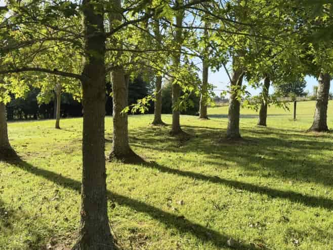 Lot 2, 55 Three Oaks Drive, Dairy Flat