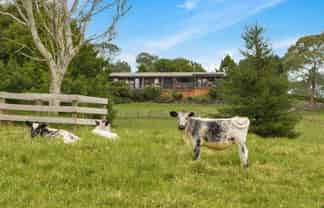 37 Lloyd Road, Riverhead