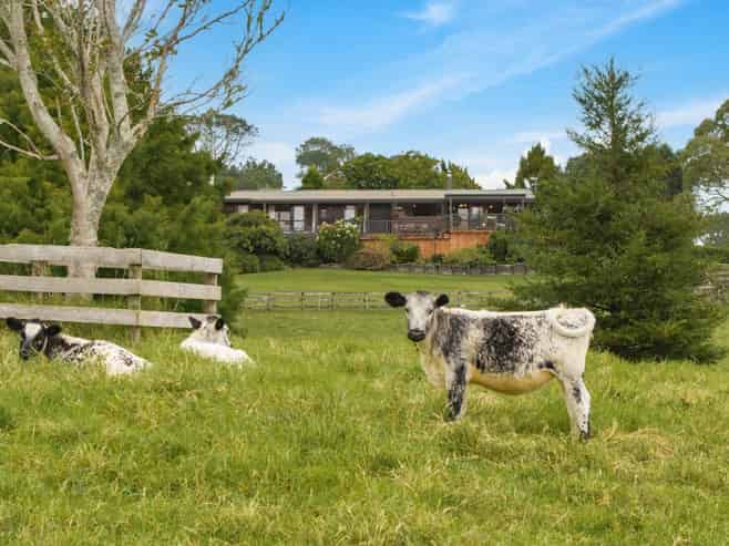 37 Lloyd Road, Riverhead