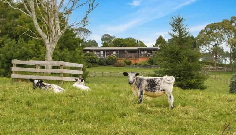 37 Lloyd Road, Riverhead