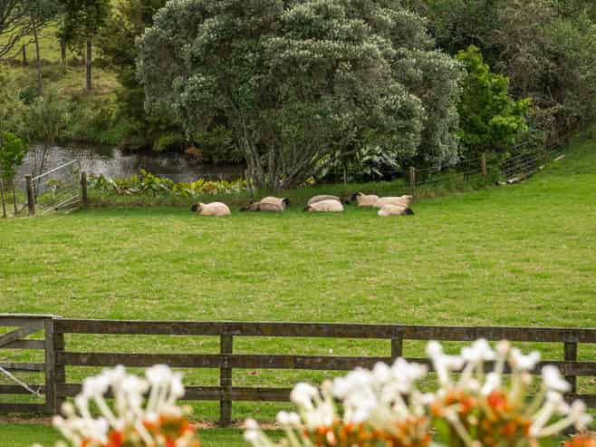 37 Lloyd Road, Riverhead