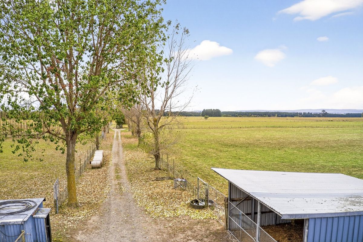 Livestock Finishing and Trading Block - Ansicht 5