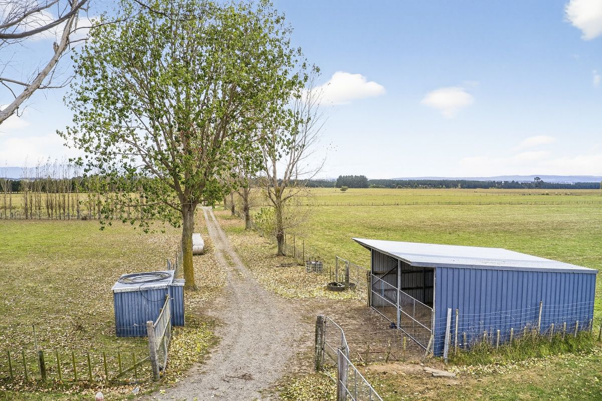 Livestock Finishing and Trading Block - Ansicht 3