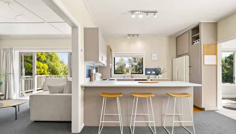 16 Spottiswoode Street, Andersons Bay