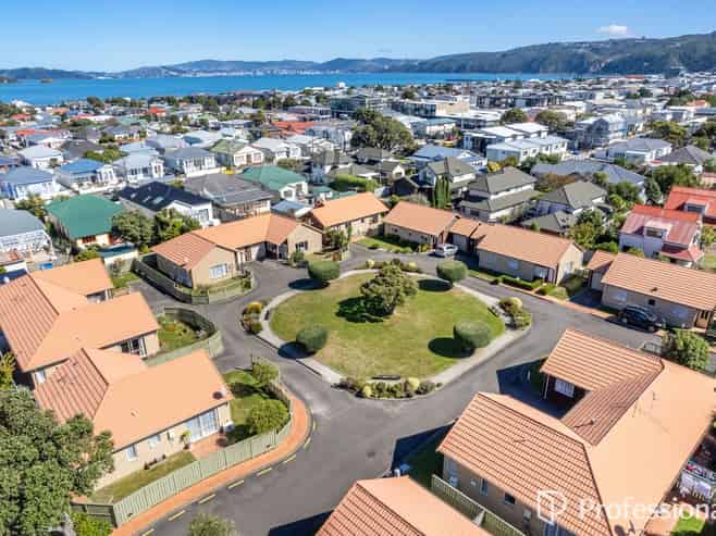 5 Pattie Street, Petone