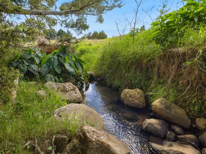  Whakataha Road, Waimate North