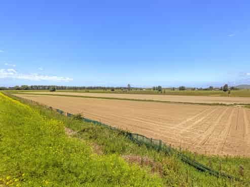 767A Wharerata Road, Manutuke