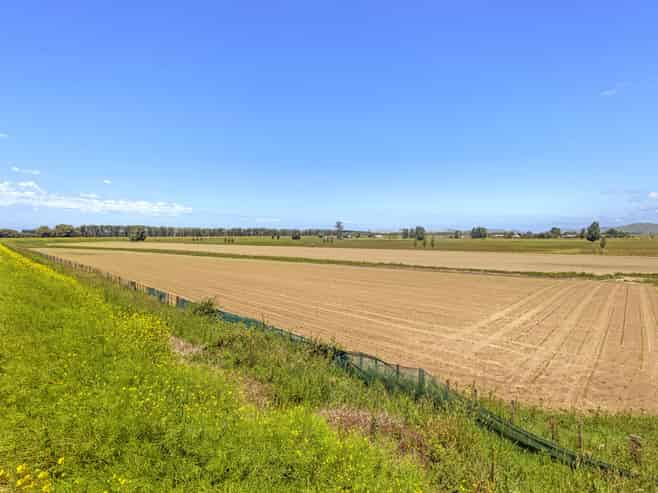 767A Wharerata Road, Manutuke