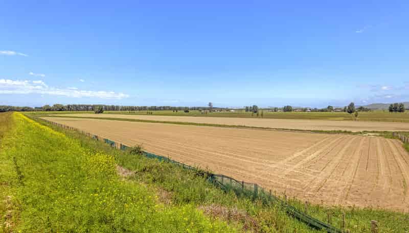 767A Wharerata Road, Manutuke