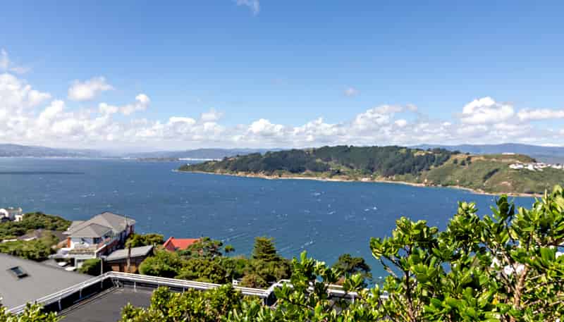 149 Te Anau Road, Hataitai