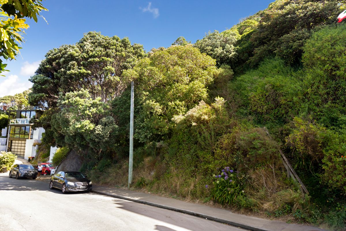 Prime Opportunity in Hataitai! – pohled 2