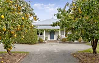 14 Campbell Drive, Martinborough