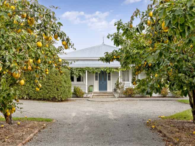 14 Campbell Drive, Martinborough