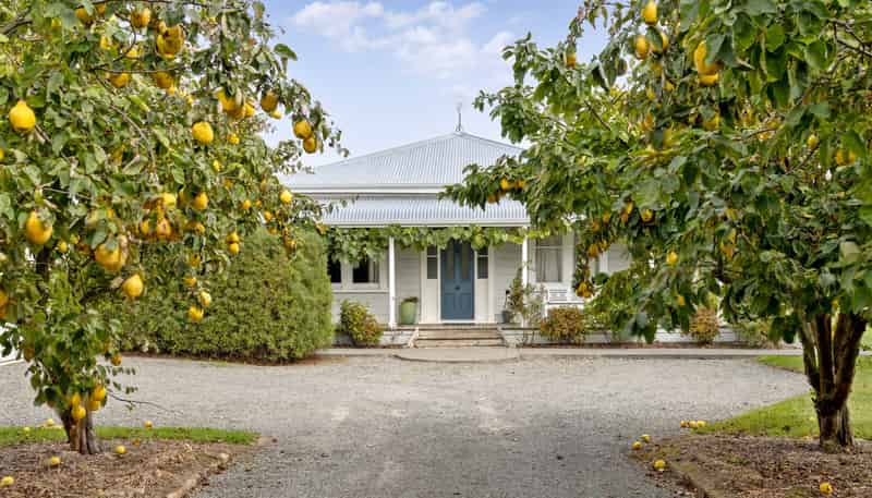 14 Campbell Drive, Martinborough