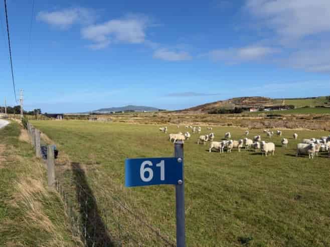 61 Clark Road, Omaui