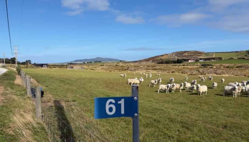 61 Clark Road, Omaui