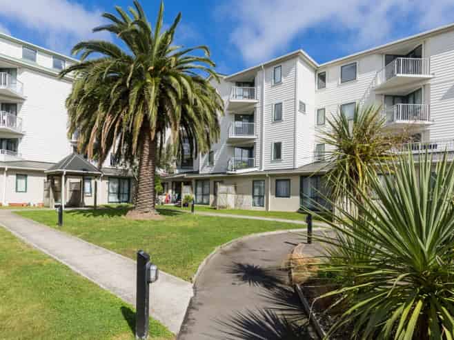 B8/13 Palm Grove, Berhampore