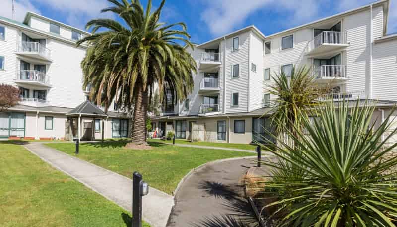 B8/13 Palm Grove, Berhampore