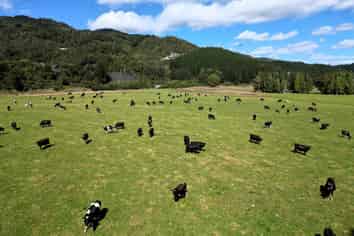  522 Gannon's Road, Reefton