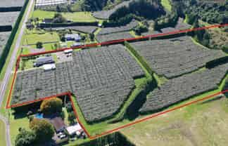 217 Maungarangi Road, Te Puke