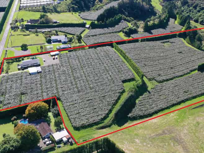 217 Maungarangi Road, Te Puke