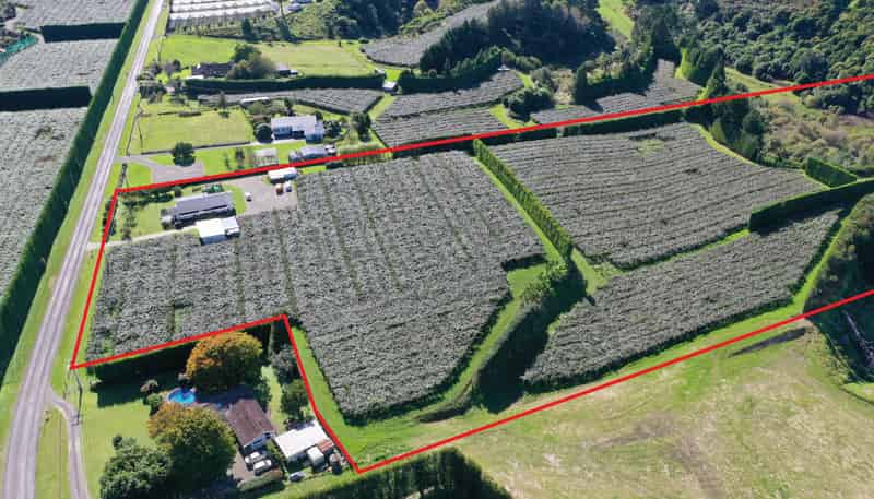 217 Maungarangi Road, Te Puke